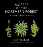 Mosses of the Northern Forest