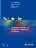 Male Infertility (eBook, PDF)
