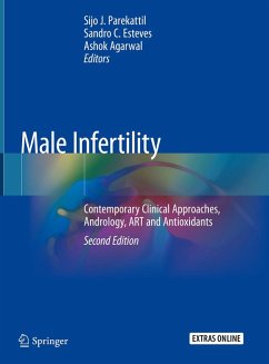 Male Infertility (eBook, PDF)