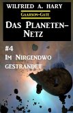 Das Planeten-Netz 4: Im Nirgendwo gestrandet (eBook, ePUB)