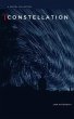 Constellation (eBook, ePUB) - Bild 1