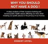 Why You Should Not Have a Dog! (eBook,... - Bild 1
