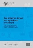 Due Diligence, Tenure and Agricultural Investment (eBook, PDF)