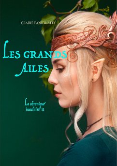 Les Grands Ailés (eBook, ePUB)