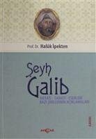 Seyh Galib Hayati, Sanati, Eserleri, Edebi Kisiligi ve Bazi Siirlerinin Aciklamalari - Ipekten, Haluk