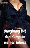 Gangbang mit den Kumpeln meines Sohnes (eBook, ePUB)