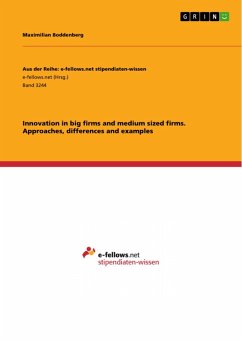 Innovation in big firms and medium sized firms. Approaches, differences and examples (eBook, PDF)