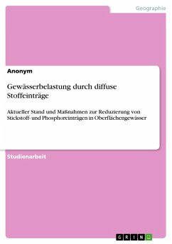 Cover Gewässerbelastung durch diffuse Stoffeinträge (eBook, PDF)