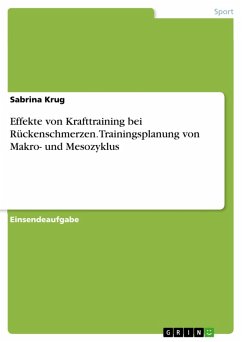 Effekte von Krafttraining bei Rückenschmerzen. Trainingsplanung von Makro- und Mesozyklus (eBook, PDF) - Krug, Sabrina