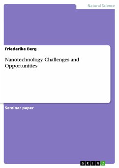 Nanotechnology. Challenges and Opportunities (eBook, PDF)