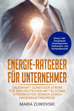 Energie-Ratgeber für Unternehmer (eBook, ePUB) - Zuwovski, Maria