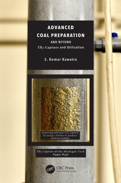 Cover Advanced Coal Preparation and Beyond (eBook, ePUB)