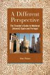 A Different Perspective (eBook, ePUB) - Bild 1