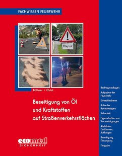 Beseitigung von Öl und Kraftstoffen auf Straßenverkehrsflächen - Büttner, Andreas;Christ, Dominique