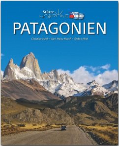 Horizont Patagonien - Nink, Stefan