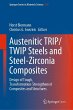 Austenitic TRIP/TWIP Steels and... - Bild 1