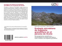 Ecología microbiana de Espeletia grandiflora en el páramo de Ocetá