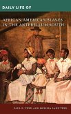 Daily Life of African American Slaves in the Antebellum South