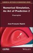 Numerical Simulation, An Art of... - Bild 1