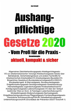 Aushangpflichtige Gesetze 2020 Gesamtausgabe (eBook, ePUB) - Scholl, Jost
