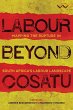 Labour Beyond Cosatu (eBook, ePUB) - Bild 1