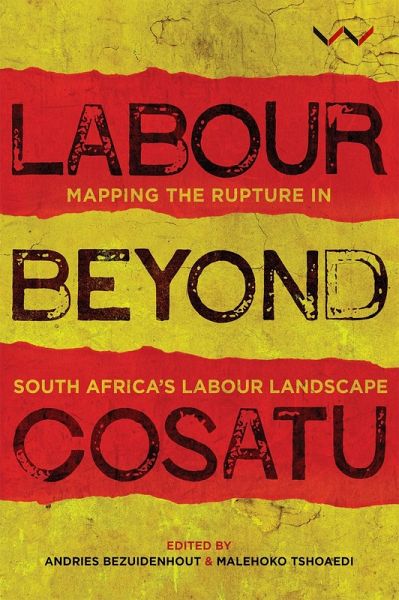 Labour Beyond Cosatu (eBook, ePUB)