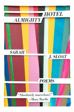 Hotel Almighty (eBook, ePUB) Cover Hotel Almighty (eBook, ePUB)
