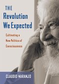 The Revolution We Expected (eBook, ePUB)