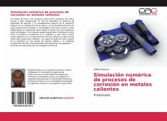 Simulación numérica de procesos de corrosión en metales calientes - Mukora, Wilfred