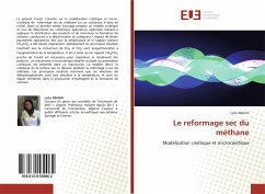 Cover Le reformage sec du méthane