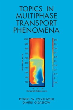 Topics in Multiphase Transport Phenomena - Lyczkowski, Robert W.; Gidaspow, Dimitri