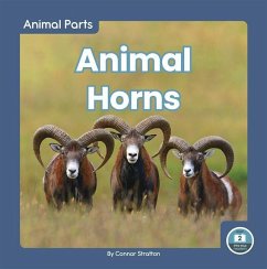 Animal Horns - Stratton, Connor