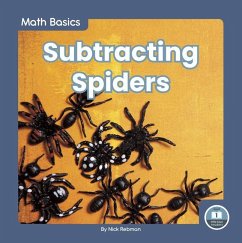 Subtracting Spiders - Rebman, Nick