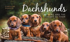 Dachshunds - Donald, Caroline