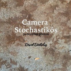 Camera Stochastikós: pedestrian photos - Diethelm, David