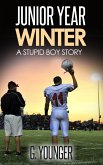 Junior Year Winter (A Stupid Boy Story, #11) (eBook, ePUB)