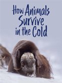 How Animals Survive in the Cold