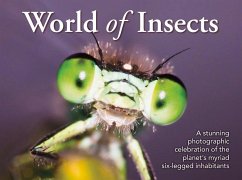 World of Insects - New Holland Publishers