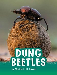 Dung Beetles - Rustad, Martha E. H.