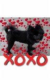 Valentine's all Love xoxo Pomeranian creative blank journal