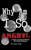 Why Am I So Angry?!: A Guide on Spiritual Warfare for Teens & Tweens.