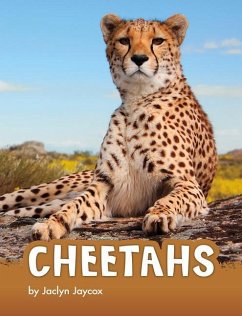 Cheetahs - Jaycox, Jaclyn
