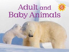 Adult and Baby Animals - Ward-Wills, Kelly