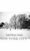 central park New York City Winter wonderland blank journal central park New York City Winter wonderland blank journal