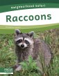Raccoons - Bild 1
