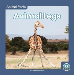 Animal Legs - Stratton, Connor