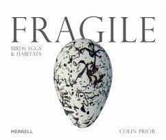 Fragile: Birds, Eggs and Habitats - Prior, Colin