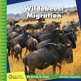 Wildebeest Migration