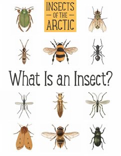 Insects of the Arctic: What Is an Insect? - Mallory, Carolyn