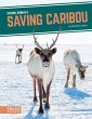 Saving Caribou - Bild 1